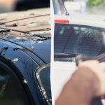 Paukščiai nebeskraido ant automobilių: štai ką reikia daryti